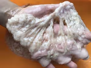 如何處理生肥腸
