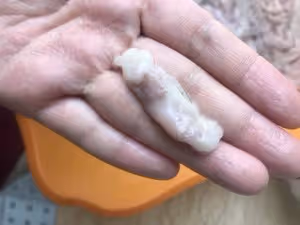 如何處理生肥腸