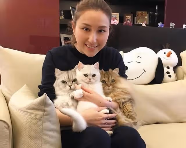 恭喜!賭王千金未婚夫升職成高級消防隊長,坐辦公室每月薪酬8萬