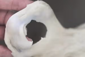 蒜香芝士海鹽卷｜鹽麵包｜鹽可頌