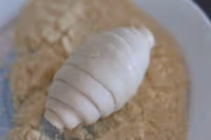 蒜香芝士海鹽卷｜鹽麵包｜鹽可頌