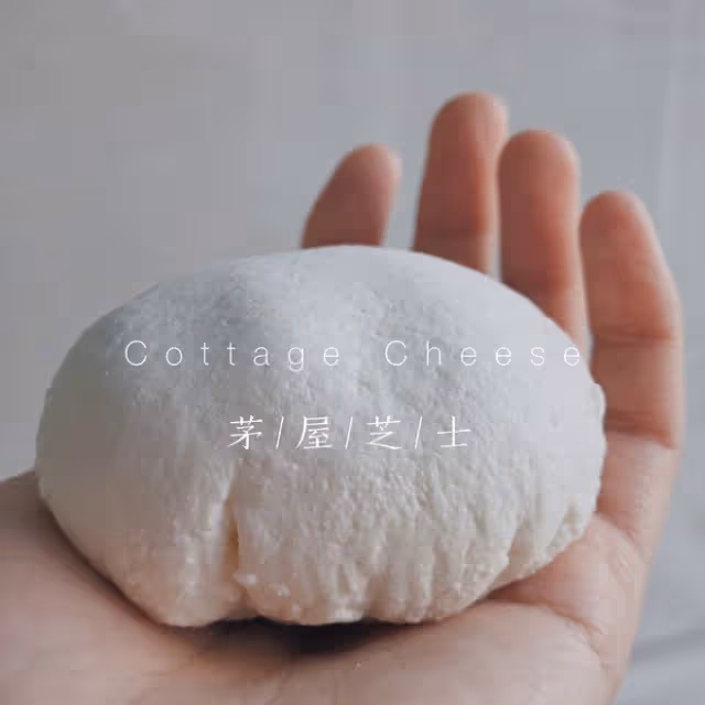 自製奶酪：減脂輕食超低卡的茅屋芝士