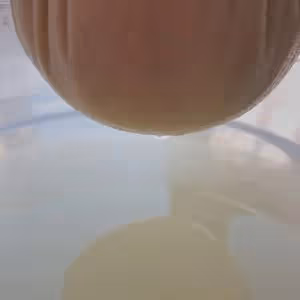 自製奶酪：減脂輕食超低卡的茅屋芝士