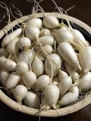 泡一瓶酸辣蘿蔔吧