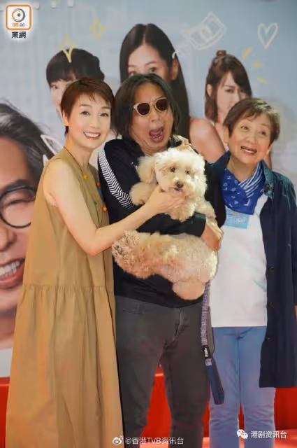 網民贊視帝後大熱!林敏驄鮑起靜互飆演技