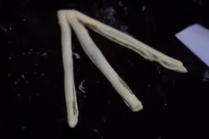 手撕奶酥小吐司第二彈💗紅茶/可可/抹茶🌸