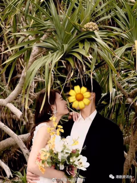 TVB小生與日籍太太婚紗相曝光!老婆著低胸碎花白紗海邊留影