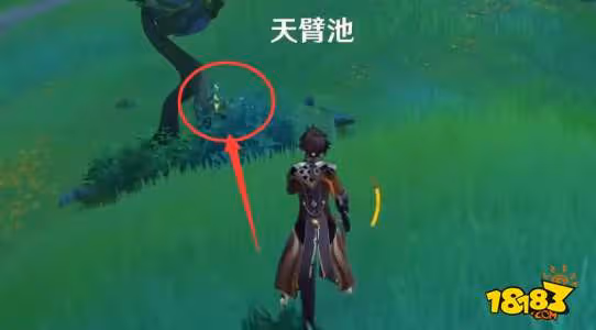 原神天臂池旁邊的神瞳怎麼獲得 天臂池草神瞳位置詳解