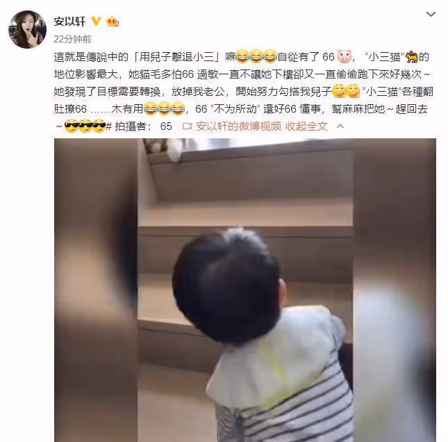 安以軒曬「用兒子擊退小三」，小66爬樓梯追貓貓，動作超萌超可愛