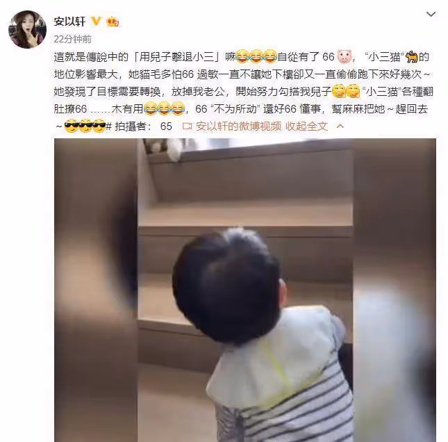 安以軒曬「用兒子擊退小三」,小66爬樓梯追貓貓,動作超萌超可愛