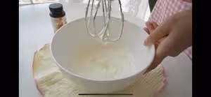 真正的義大利傳統提拉米蘇