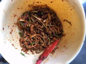青蘿蔔乾鹹菜（朝鮮族特色下飯菜）