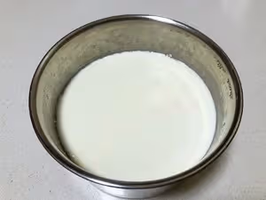 自製奶油奶酪或者酸奶奶酪【類似希臘酸奶】