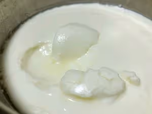 自製奶油奶酪或者酸奶奶酪【類似希臘酸奶】