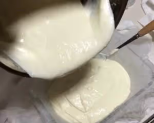 自製奶油奶酪或者酸奶奶酪【類似希臘酸奶】