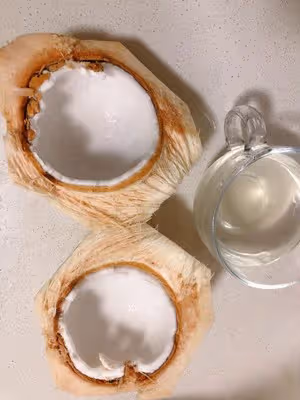 自製椰漿椰奶（簡單又經濟）