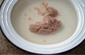 川味烤腦花