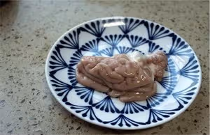 川味烤腦花