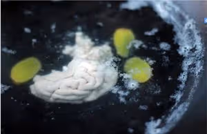 川味烤腦花