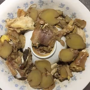 台灣滴雞精｜吊雞露