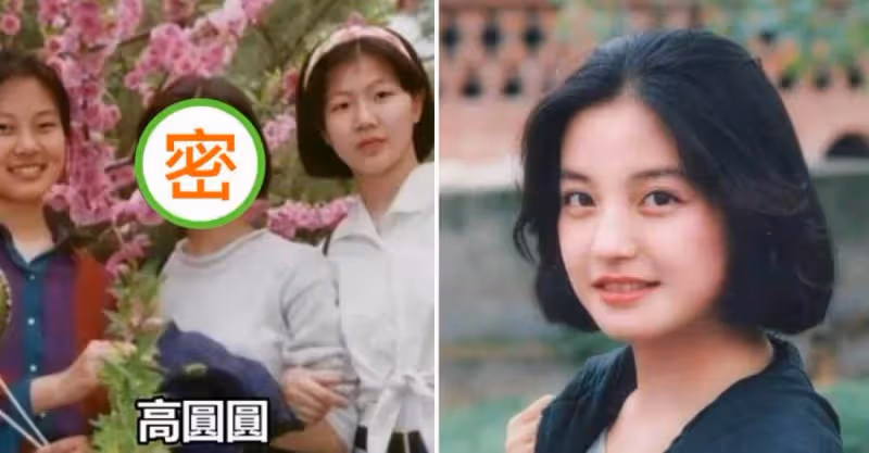 明星罕見學生照：趙雅芝有些意外，陳德容簡直是老天爺賞飯吃，趙薇和高圓圓校花級
