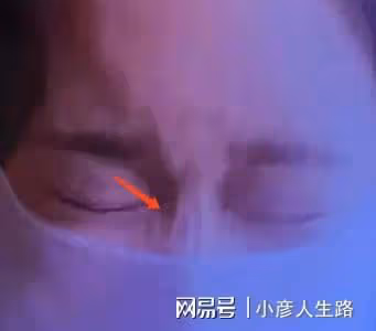 影視圈「假鼻子」大賞：誰堪稱點睛之筆，誰越整越「奇怪」？