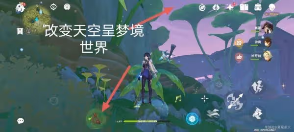 《原神》劫波蓮快速採集路線分享