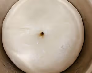 中筋粉的奶香小餐包
