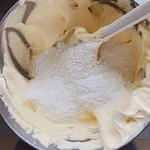 手指餅乾（提拉米蘇好伴侶）