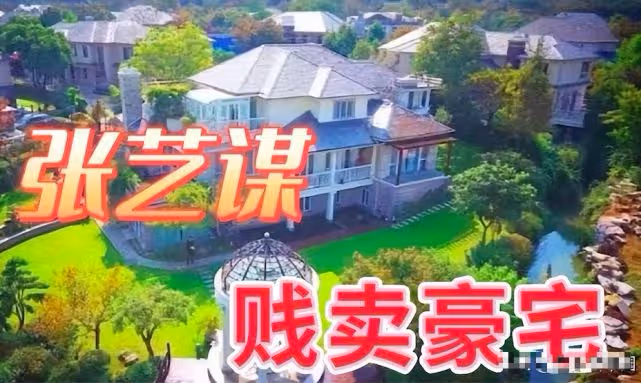 衣服帶五星國旗標籤，張藝謀拍視頻回應移民美國：一直很愛國！