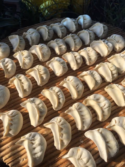 佛手瓜餡餃子