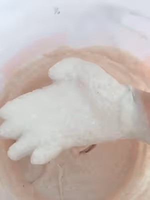 正宗羅定縐紗魚腐
