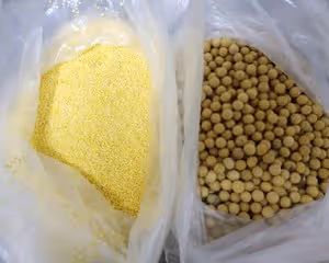 魯西南棗莊白粥豆粥糊粥