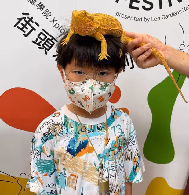 鄭中基妻子罕曬娃！11歲女兒脖掛蟒蛇很淡定，7歲兒子親吻大龜