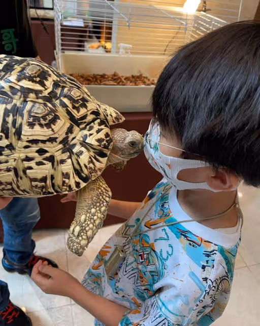 鄭中基妻子罕曬娃！11歲女兒脖掛蟒蛇很淡定，7歲兒子親吻大龜
