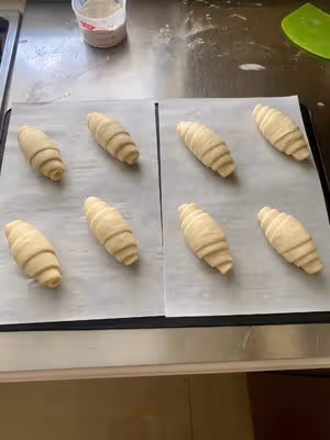 日式鹽可頌