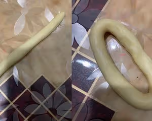 一發腸仔包（熱狗麵包）