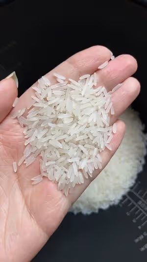皮蛋瘦肉粥