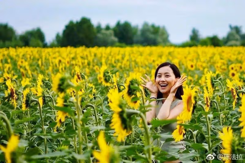 20歲斬獲選美冠軍！最美學霸「隱婚6年」爆紅時息影　怒甩豪門「被嘲棄婦」高調2婚：人生大轉場
