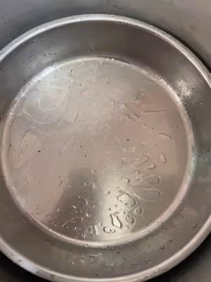 廣式馬蹄糕Q彈爽口一次成功