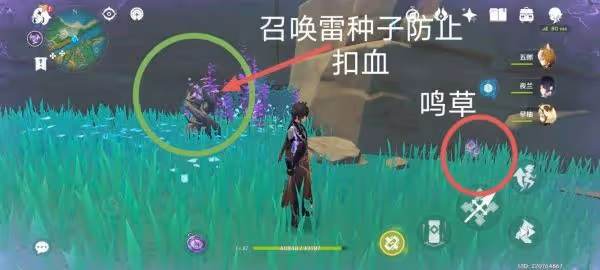 《原神》鳴草採集路線詳解