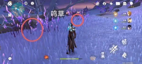 《原神》鳴草採集路線詳解