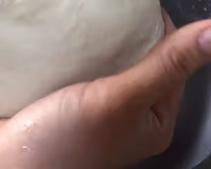 芝士沙拉肉鬆麵包（波蘭種）
