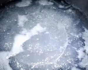 新手學會煮餃子