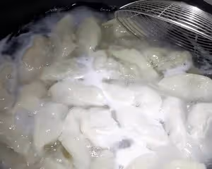 新手學會煮餃子