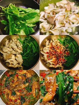 減脂餐！香辣過癮超好吃的菠菜拌平菇