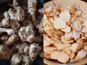 冬季香腌鬼子姜(也叫洋姜)易操作味道美