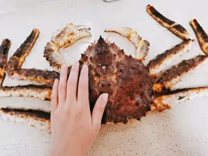 超快手帝王蟹五吃