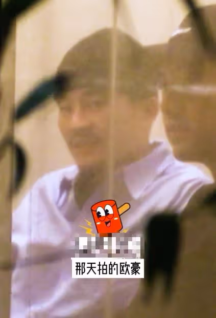 一胖毀所有，歐豪近照曝光又胖又油膩，被嘲鞋拔子撞臉趙本山！