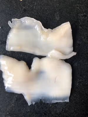 詳細的干魷魚泡發過程